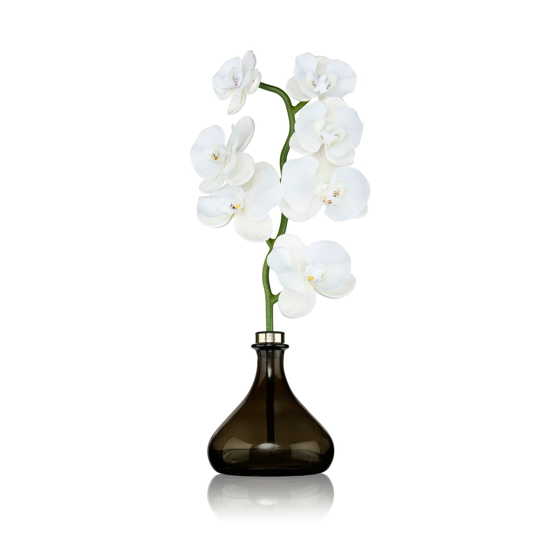 Orchid Diffuser